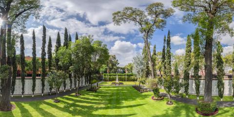 Mexico City Virtual 360